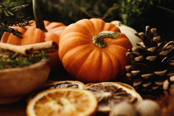 decoração de outono - squash pumpkin orange japanese fall foliage - fotografias e filmes do acervo