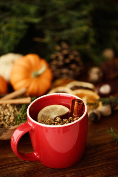 healthy tea with cinnamon stick - squash pumpkin orange japanese fall foliage imagens e fotografias de stock