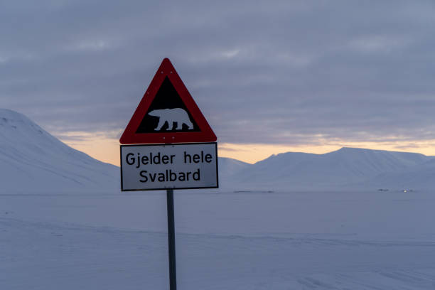 istock Warning sign for Polar Bears, Svalbard 1430086461