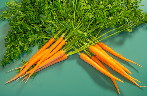 Fresh Carrots with copy space