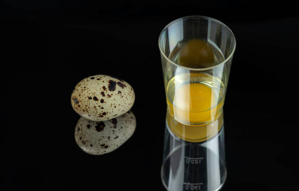 istock Quail eggs in the shell and in a in a measuring glass on a black mirror 1430095840