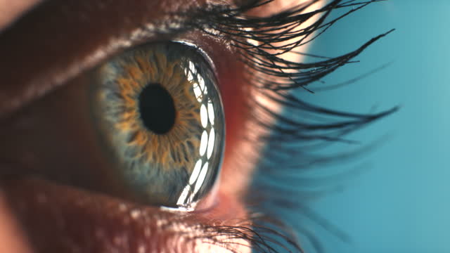 Closeup of a woman, green eye with healthy vision or eyesight with optometry treatment. Closeup of a girl with contact lens and a moving or dilating pupil with a beautiful iris color.