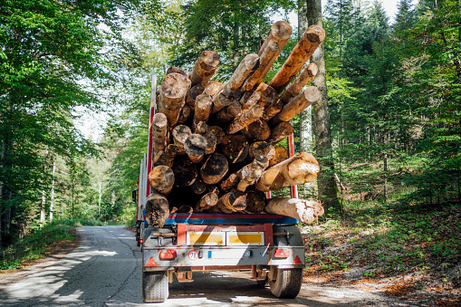Large truck with freshly sawn wood on the road. Transportation of timber on a truck on the mountain road