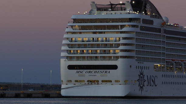 la nave msc orchestra ad alicante - fiddlers ferry foto e immagini stock