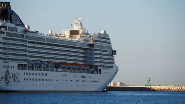 la nave msc orchestra ad alicante - fiddlers ferry foto e immagini stock