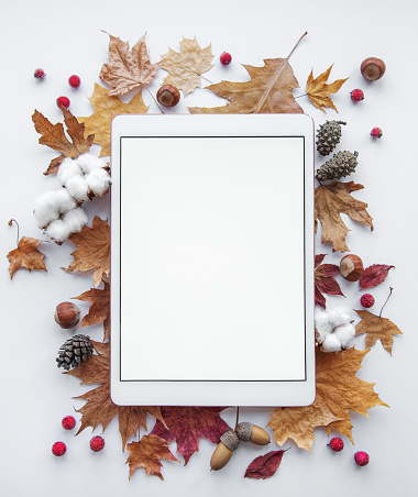 Autumn frame. Tablet on a white background with colorful autumn leaves