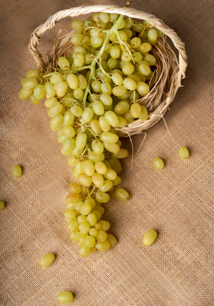 Grapes in a basket on a black background and a mesh brown background