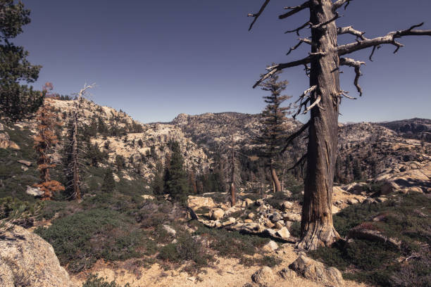 Crabtree Trail Lookout A rocky mountainous view some of California's pristine wilderness areas stanislaus national forest stock pictures, royalty-free photos & images