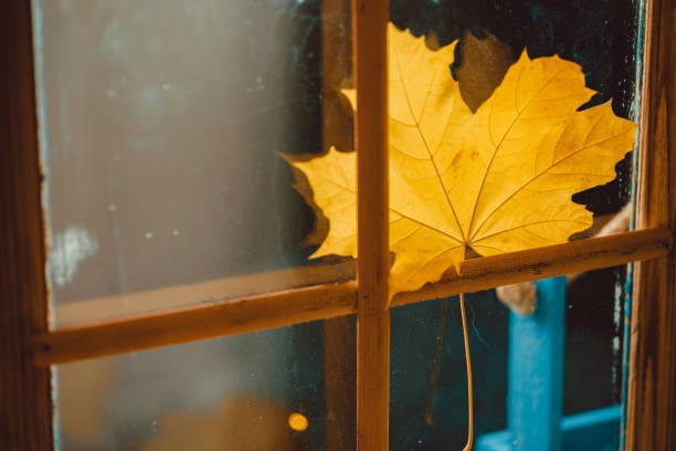 Yellow Autumn Leaf by the Window. Season Fall Concept. Vintage style. stock photo
