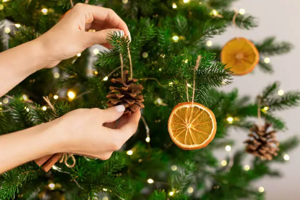 Photo of Female hands hanging handmade decoration on Christmas tree.