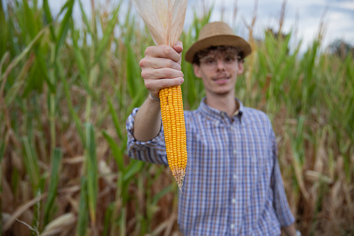 Proud farmer happily displays the fruit of his hard labor: a huge corncob.