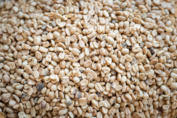 istock Texture of white coffee beans before peeling and roasting 1430122949