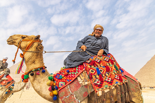 Giza, Cairo, Egypt. February 18, 2022. Man reclining on a camel with deocrated blanket and halter at the Great Pyramid complex in Giza.