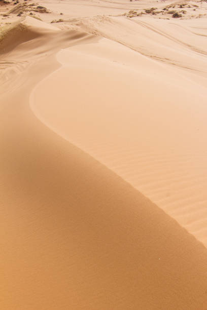 istock pink coral sand dunes state park 1430125604