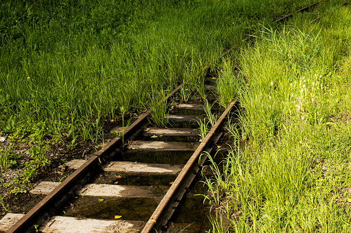 The railroad tracks are flooded with water and overgrown with grass. Abandoned railway track.