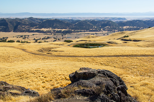 Central Californias Golden fields of grass, looking nice and dry.
