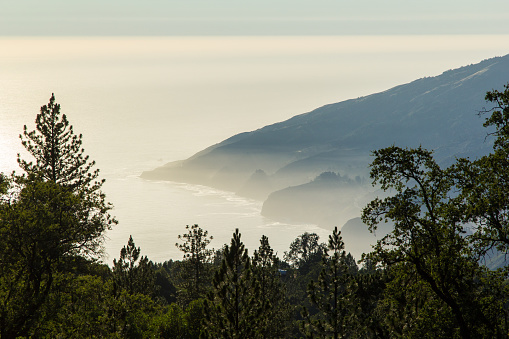 Looking out towards the pacific ocean horizon at big sur, up on a mountain close to the coast.
