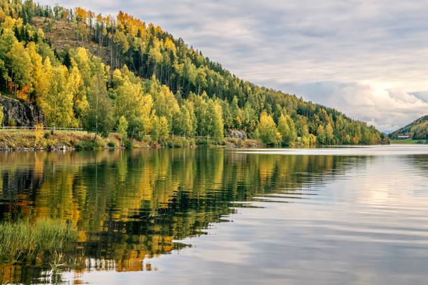 istock Autumn color in Nature 1430131555