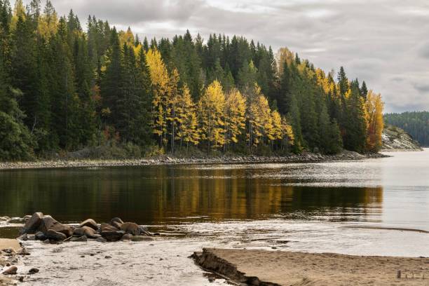 istock Autumn color in Nature 1430131583