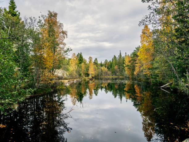 Autumn color in Nature