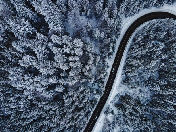 istock Pine trees covered with snow. Highway through the winter forest, aerial drone view 1430133625