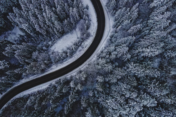 istock Pine trees covered with snow. Highway through the winter forest, aerial drone view 1430133644