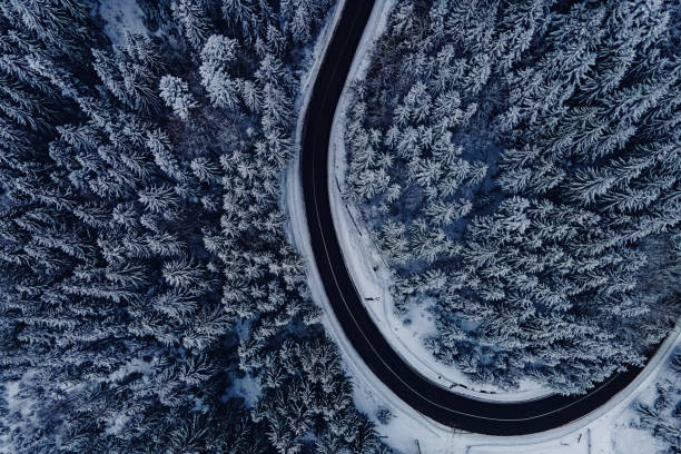 istock Pine trees covered with snow. Highway through the winter forest, aerial drone view 1430133649