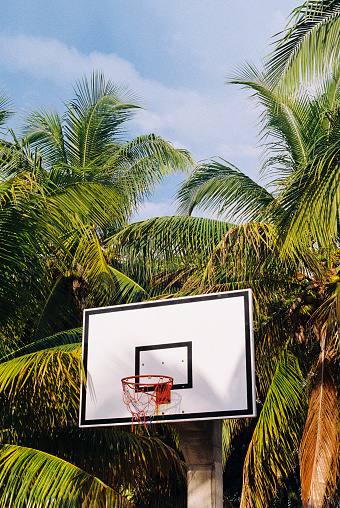 Basketball court on a tropical island with palm trees and a blue sky in the background. Picture was take during golden hour on 35mm film.