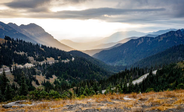 Olympic Mountains from Sunrise Point