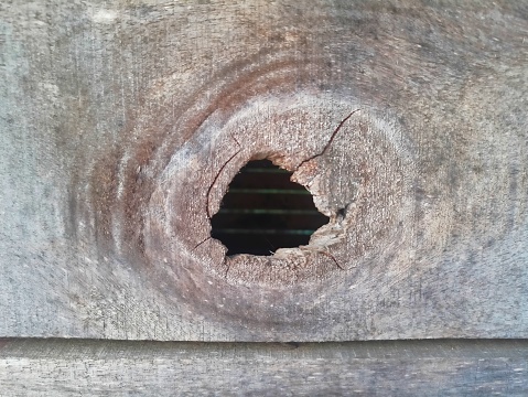 natural gaps formed in a wall made of wood