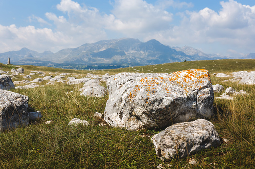 Medieval tombstones,  stecci in Durmitor National park,  Montenegro, Europe.  Selective focus