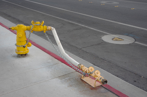 Fire hydrant with extension hose and valves on a red curb