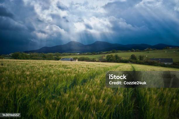 Light Over The Mourne Mountains Stock Photo - Download Image Now - County Down, Mountain, Mourne Mountains