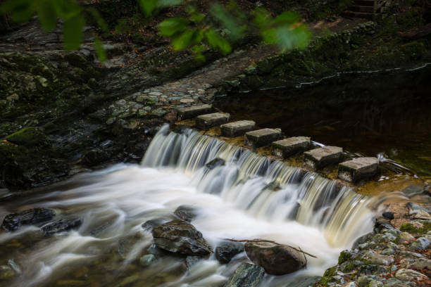 The Stepping Stones, Tollmore Forest Park The Stepping Stones, Tollmore Forest Park, County Down, Northern Ireland 8564 stock pictures, royalty-free photos & images