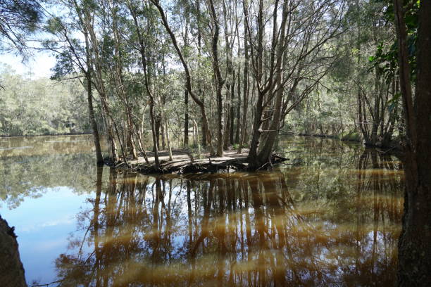 istock Manning Point, NSW, Australia 1430146718