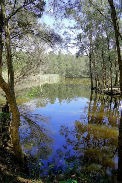 istock Manning Point, NSW, Australia 1430147867
