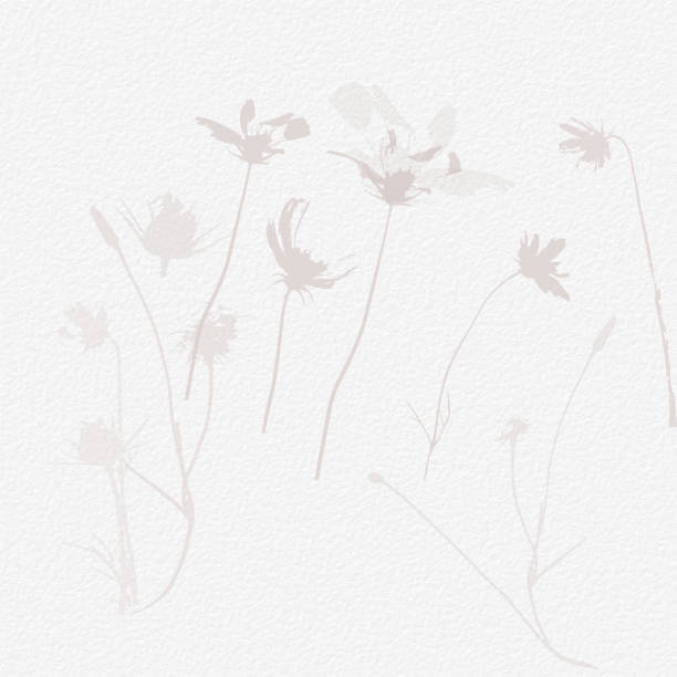 istock Delicate watercolor botanical digital paper floral background in soft basic nude beige tones. Neutral elegant pattern on white organic paper texture 1430148615