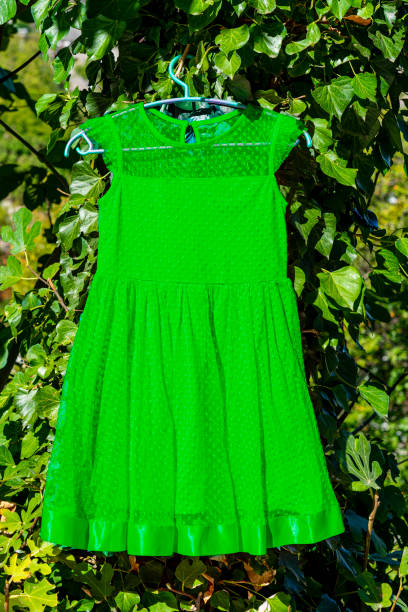 istock child dress hanging on green fabric greenery background. 1430151946