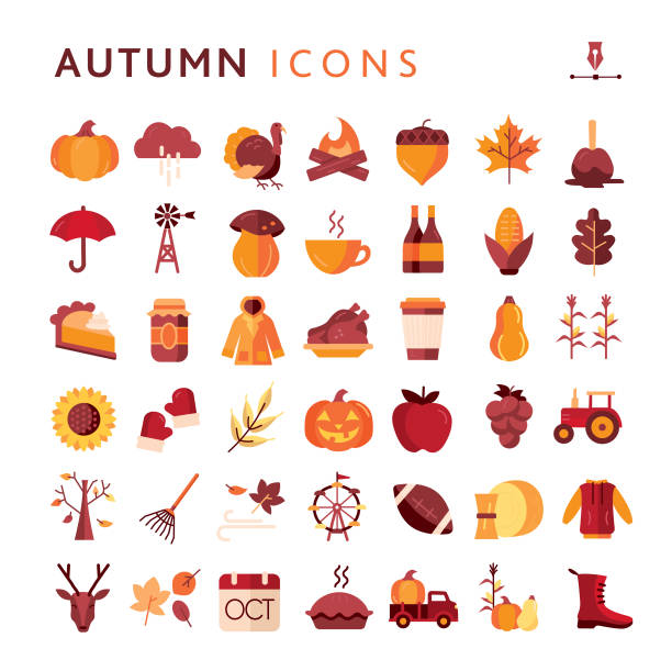 Autumn, Thanksgiving, Fall, Harvest season colorful icon set Vector illustration of a set of Fall icons. Includes pumpkins and gourds, corn crops, turkey, corn, fall leaf, candy apple, umbrella, tractor, mushroom, coffee, wine, pie, canning jar, raincoat, Thanksgiving dinner, take out coffee, grapes, sunflower, mittens, wheat, jack-o-lantern, apple, calendar, fall tree, rake, wind, hoodie, football, harvest, boot, deer, windmill, harvest truck on white background. Fully editable for easy editing. Simple set that includes vector eps and high resolution jpg in download. happy thanksgiving stock illustrations