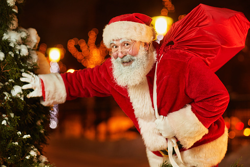 Waist up portrait of traditional Santa Claus with bag of presents standing by fir tree outdoors in night city