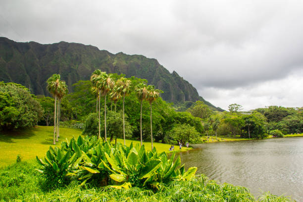 Ho’omaluhia Botanical Garden on Oahu, Hawaii.