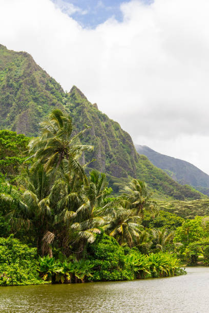 istock Ho’omaluhia Botanical Garden 1430163291
