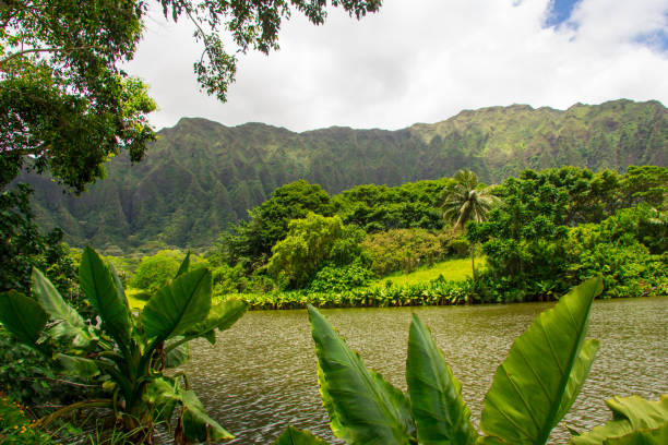 istock Ho’omaluhia Botanical Garden 1430163318