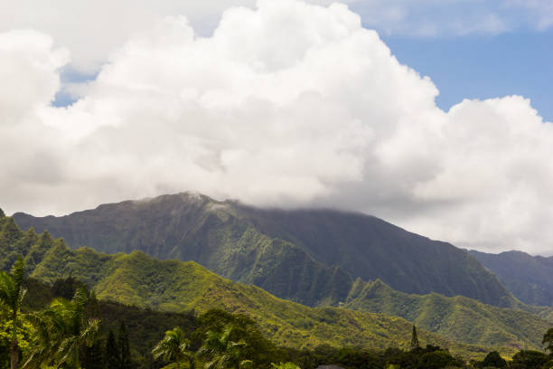 istock Wiliwilinui Ridge Trail 1430163336