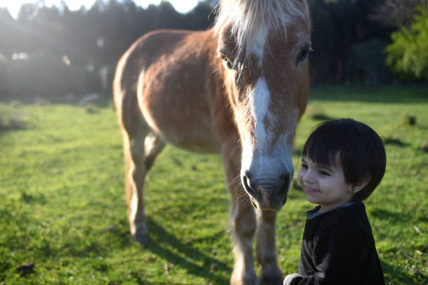 istock father and son with a horse in the meadow 1430163406
