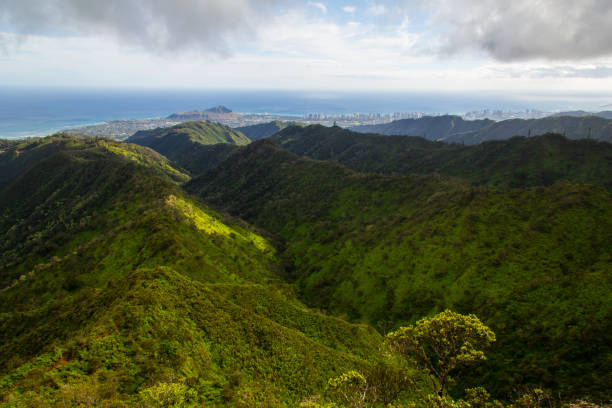 Wiliwilinui Ridge Trail