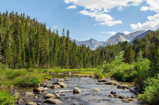 Lakes, streams, forests and Mountain View’s in the eastern Sierra nevad￼a mountain range.
