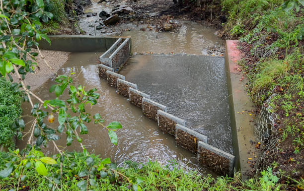 istock Metal stormwater drain with leaf and debris filter to prevent pollution from drain blocking entering the ocean on the east coast of Australia. 1430178132