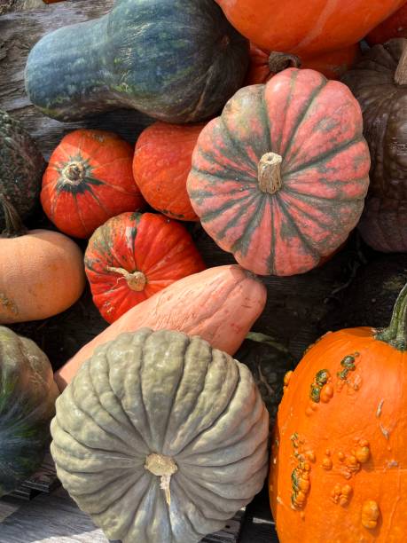 istock Pumpkins on the carriage 1430185726