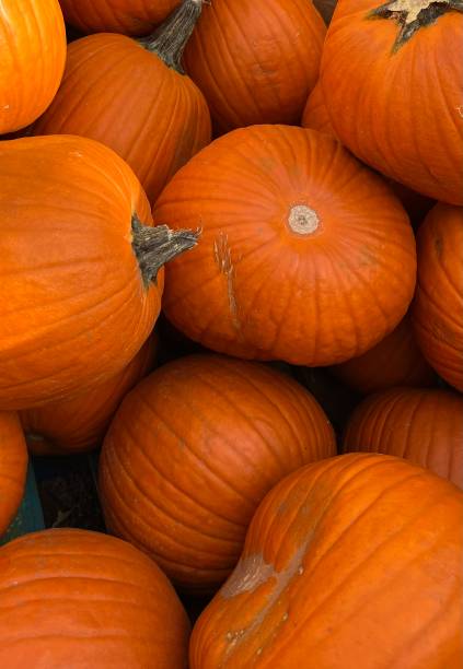 istock Pumpkins on the carriage 1430185735